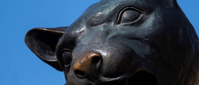 close up of panther statue
