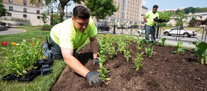 Pitt staff planting flowers